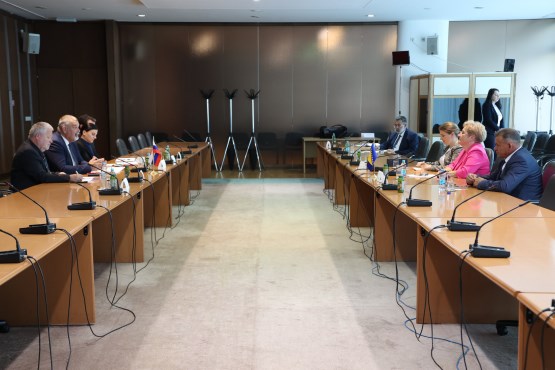 Чланови Групе пријатељства за сусједне земље ПСБиХ одржали састанак са члановима Одбора за спољну политику Државног збора Републике Словеније